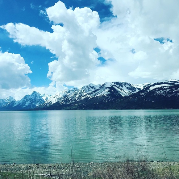 Meet your Posher, Paul - Picture 1 of 1